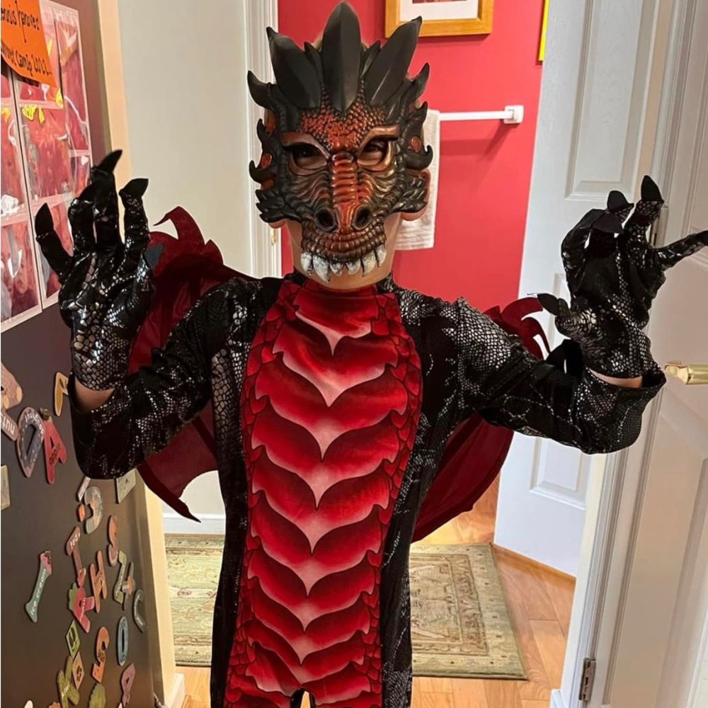 Kids red dragon costume